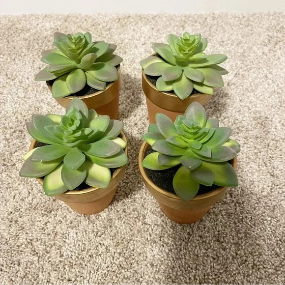Set of 3 terracotta faux succulents new - Picture 1 of 12